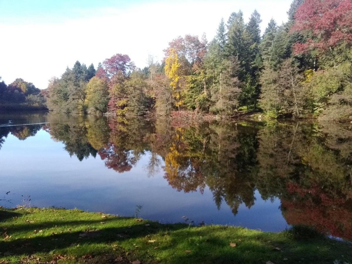 Gite de l'Arboretum Dompierre-les-Ormes Extérieur photo